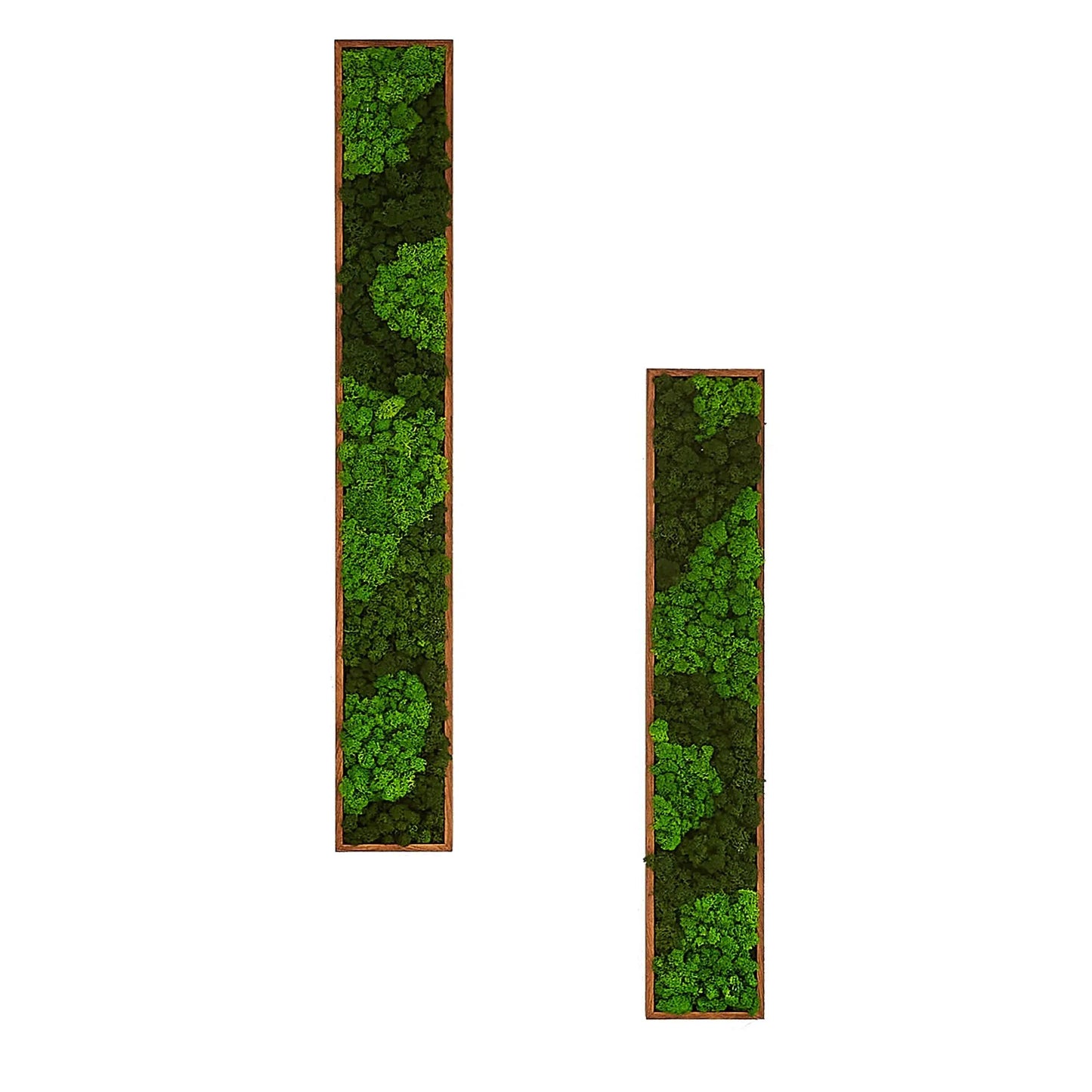 Rectangular Mixed Moss Wall Art Medium green moss panels in wooden frames three-panel display on Tampa Home & Garden Store