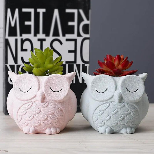 Pair of ceramic owl planters in pink and blue, each hosting a succulent for desk decor on Tampa Home & Garden Store