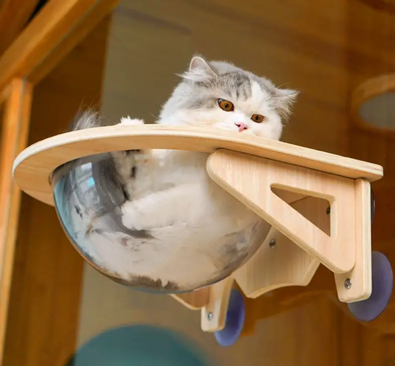 Space Capsule Cat Nest and Hammock Suction Cup on wooden bracket with a transparent capsule on Tampa Home & Garden Store