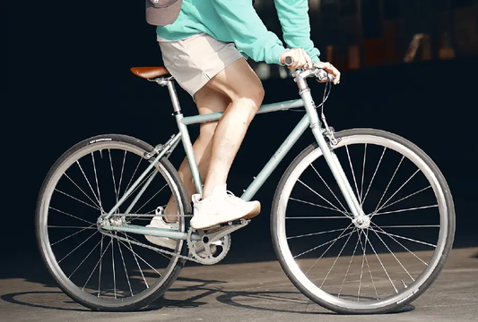EIRA Retro Steel Frame Bicycle Single Speed city bike with mint frame on Tampa Home & Garden Store