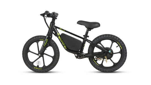 EKIDS16 1.0 - Tampa Home & Garden Store