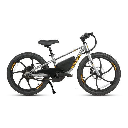 Ekids 20 Inch Electric Kids Bike 24V 250W silver frame, black saddle 20-inch wheels on Tampa Home & Garden Store