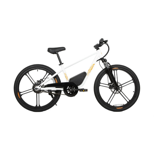 Ekids24 24V Kids Electric Bicycle white frame with black front suspension and large tires on Tampa Home & Garden Store