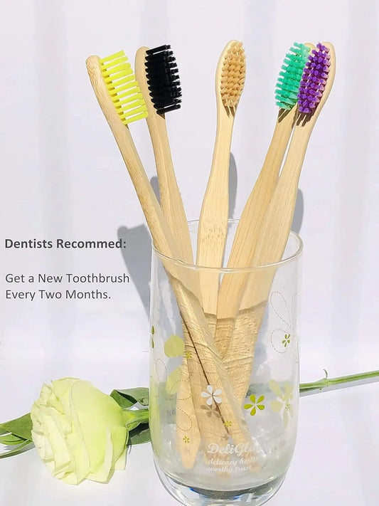 Eco-Friendly bamboo toothbrushes set of 10 with natural handles and multicolor bristles in a glass vase on Tampa Home & Garden Store