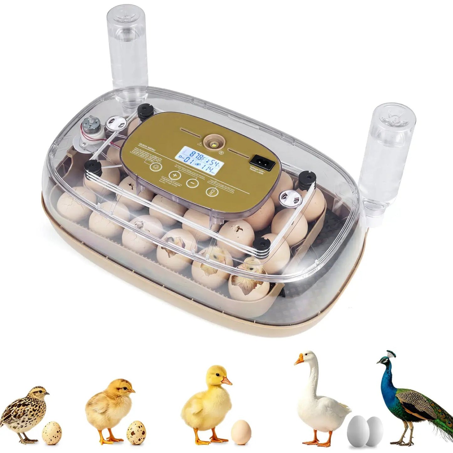 21 Egg Incubator With Temp and Humidity Control