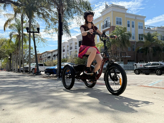Electric One-Trike 2.0 rear-drive trike with red frame by EUNORAU E-BIKE US on Tampa Home & Garden Store