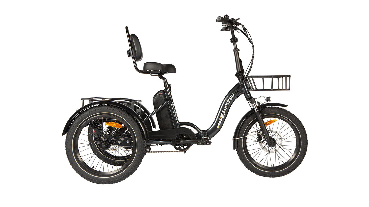 Electric ONE-TRIKE 2.0 - Tampa Home & Garden Store