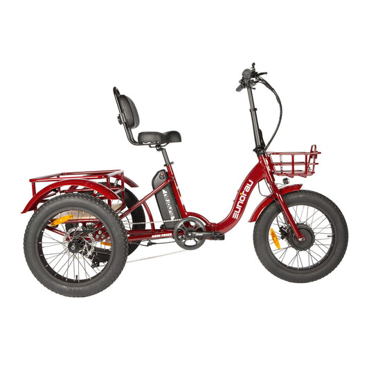 Electric TRIKE Foldable City Model 2.0 - Tampa Home & Garden Store