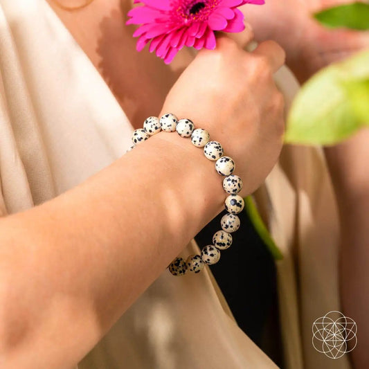 Emotional Detox Dalmatian Jasper bracelet on wrist with cream speckled beads, Conscious Items on Tampa Home & Garden Store