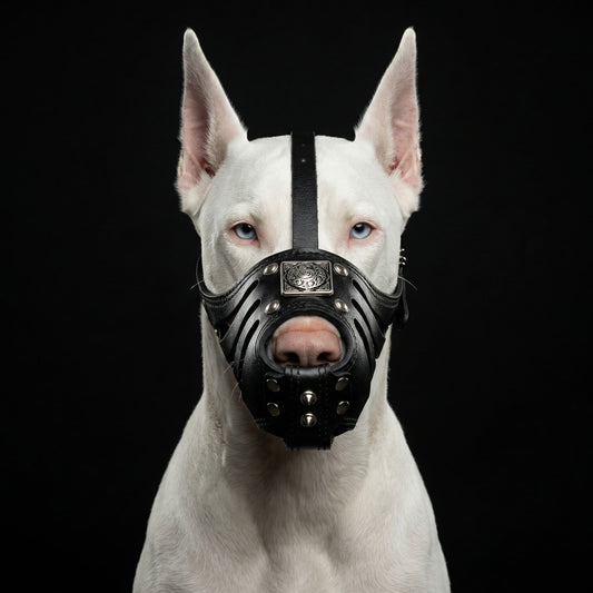 ''Eros'' Basket Muzzle All Black - Tampa Home & Garden Store
