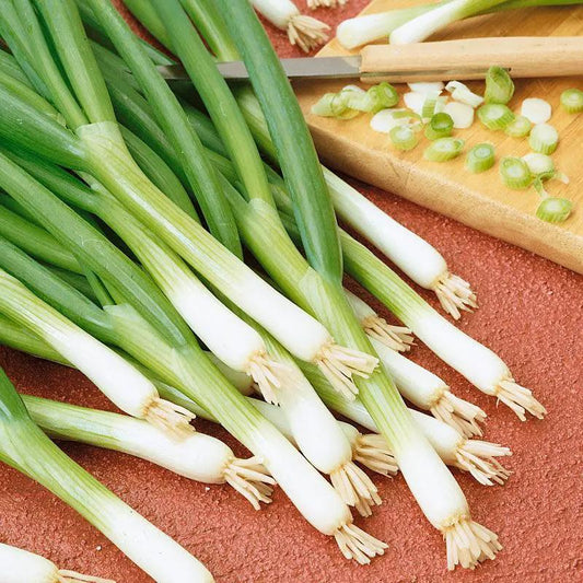 Evergreen bunching onions with white bulbs and green stalks on cutting board with chopped pieces on Tampa Home & Garden Store