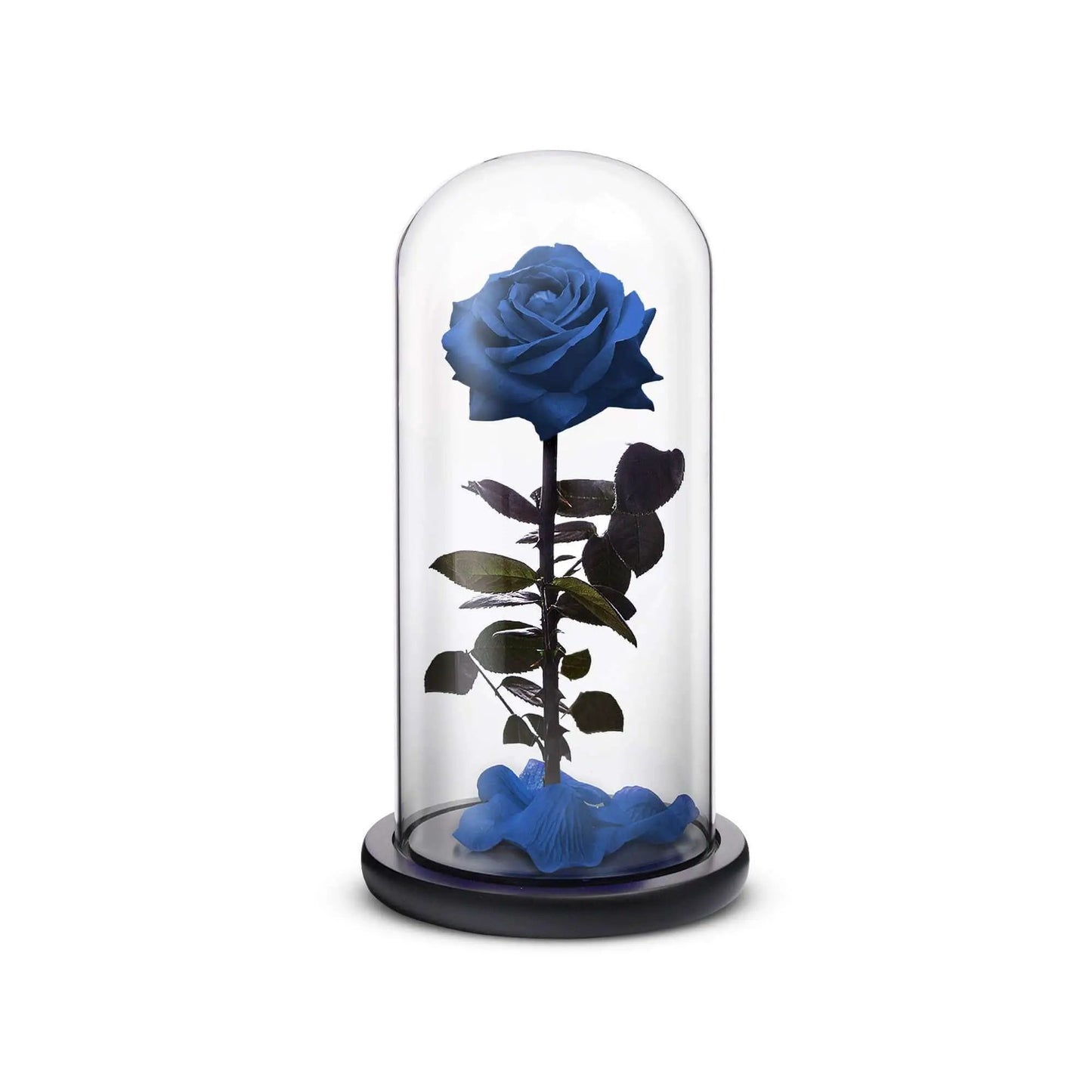 Everlasting Blue Rose Luxury Gift Set under glass dome on black pedestal ROSEPHORIA on Tampa Home & Garden Store