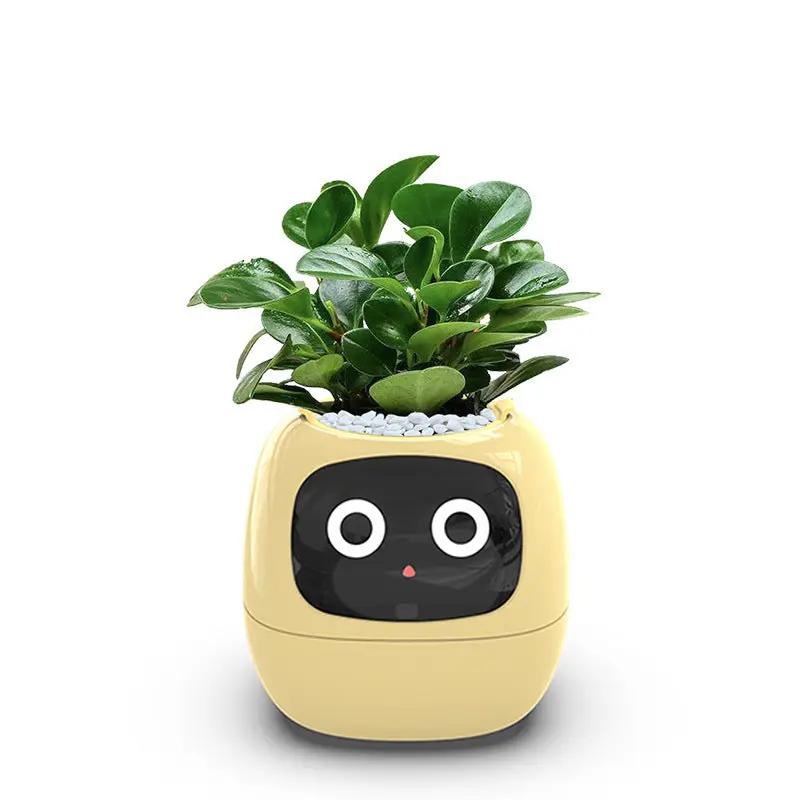 USB Auto Absorbent Planter in PP Resin Plastic yellow planter with robot-face display on Tampa Home & Garden Store