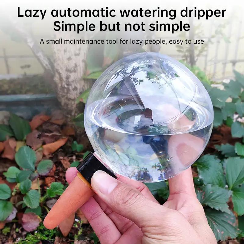 Globe 500ml automatic plant watering bulb with clear glass globe and orange nozzle, held in hand on Tampa Home & Garden Store