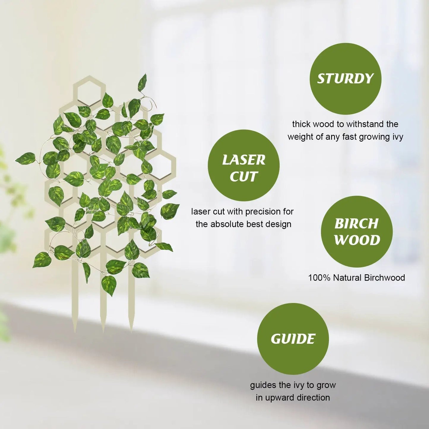 Garden Plant Trellis for Vertical Growth birchwood wooden lattice with ivy support on Tampa Home & Garden Store