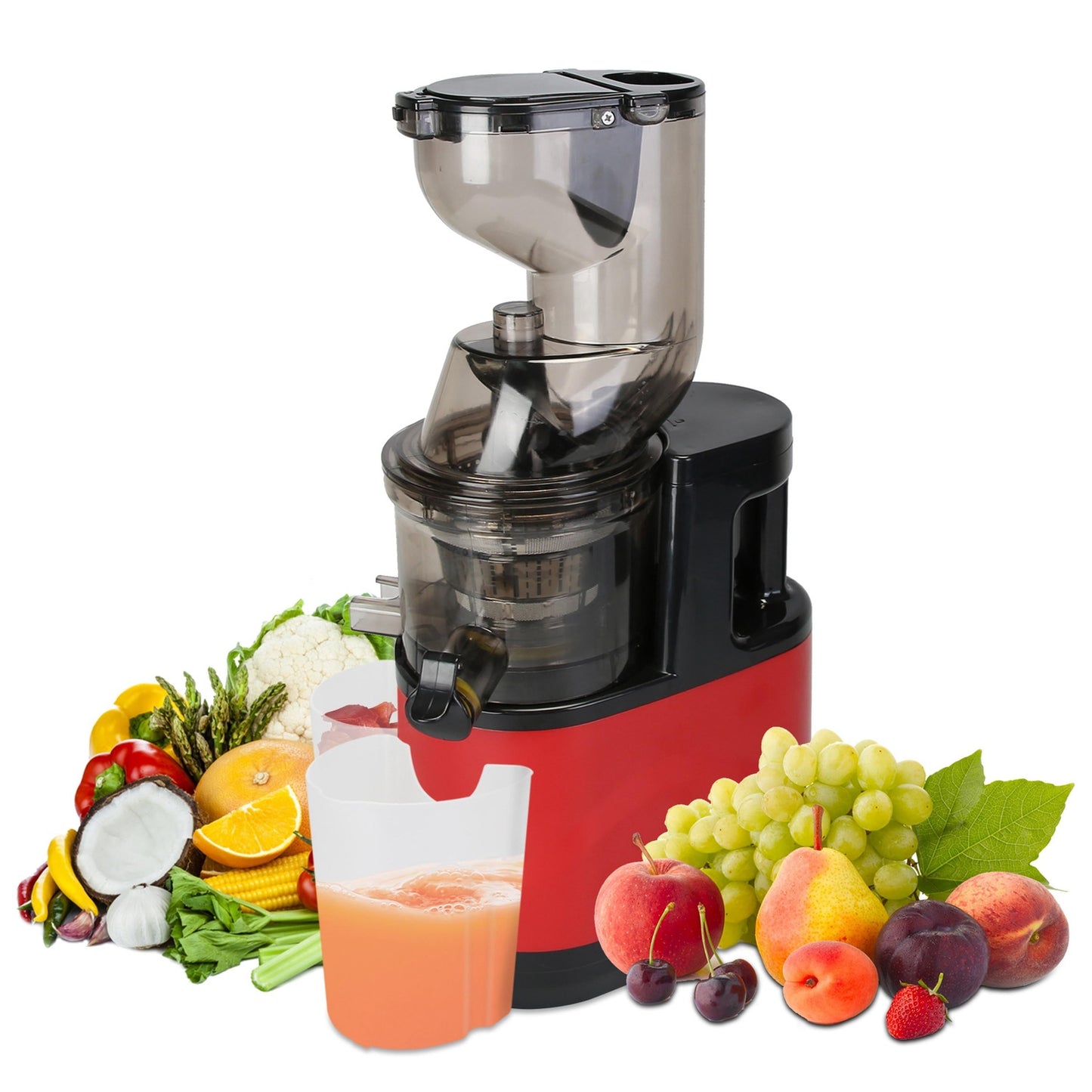 Slow Masticating Juicer for Fruits and Vegetables