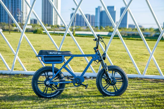 Flash 2.0 electric mountain bike by EUNORAU, blue with long-range battery and rugged tires on Tampa Home & Garden Store