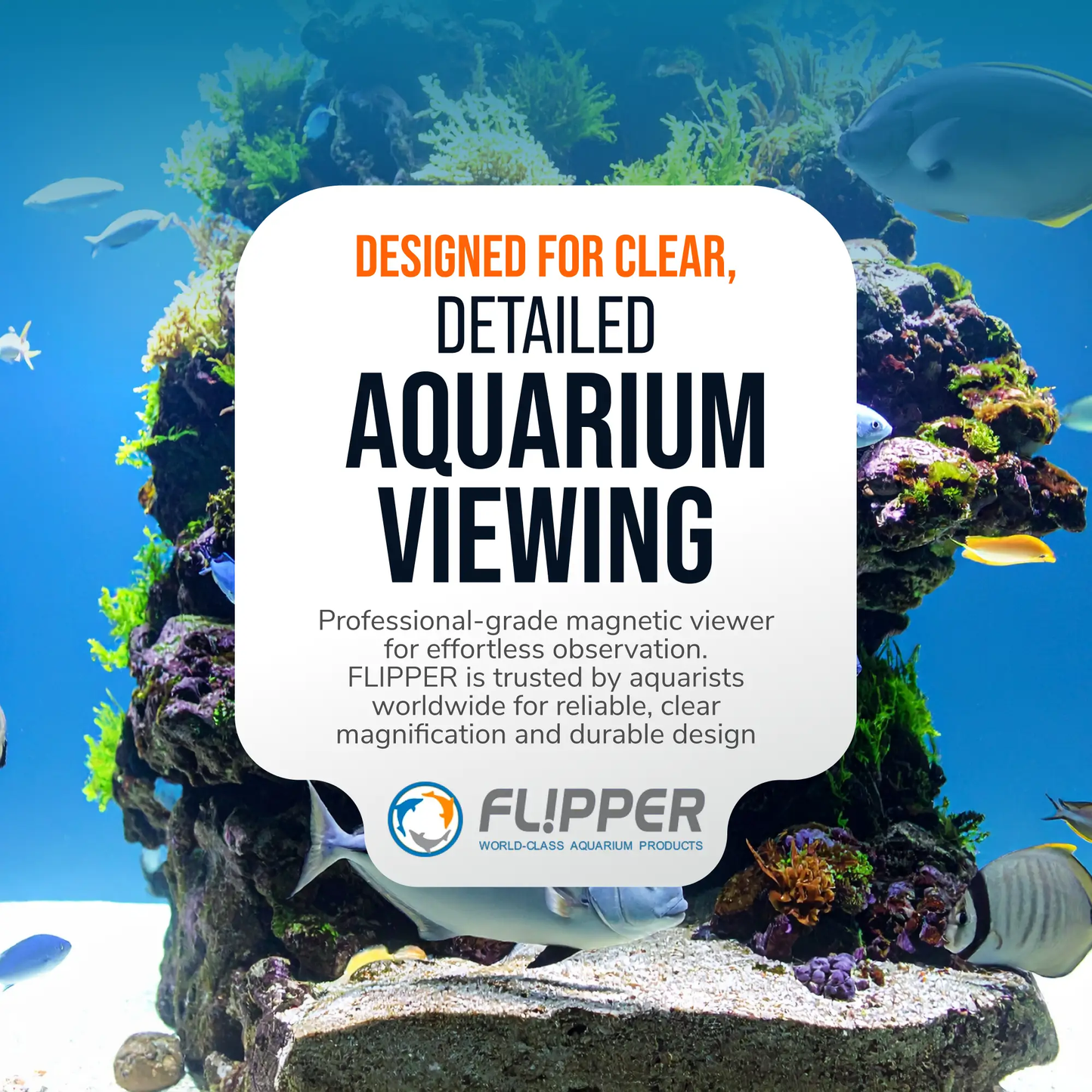 DeepSee Magnetic Aquarium Viewer for Glass Tanks by Flipper, aquarium viewing accessory on Tampa Home & Garden Store