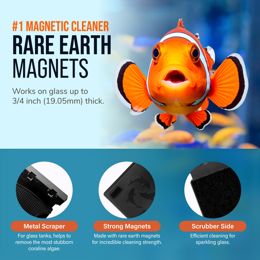 Flipper Max Float 2-in-1 Aquarium Scrubber with rare earth magnets for glass tanks on Tampa Home & Garden Store