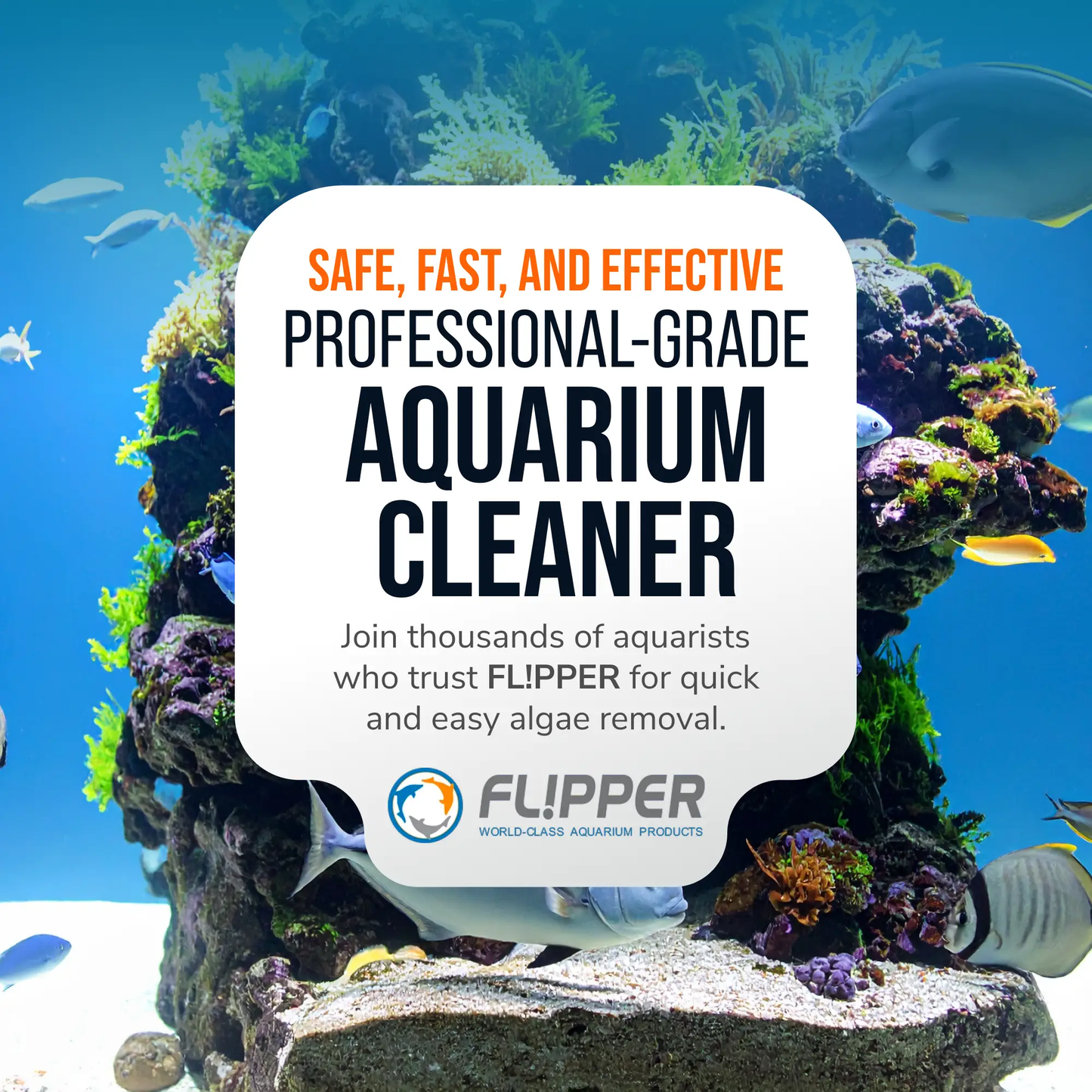 Flipper Max Float 2-in-1 aquarium algae cleaner scrubber with orange headline over reef backdrop on Tampa Home & Garden Store