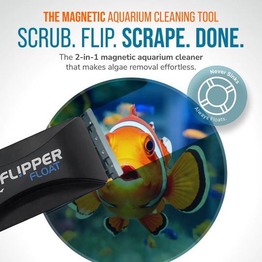 Flipper Float 2-in-1 magnetic aquarium cleaner with black handle and blue float ring on Tampa Home & Garden Store