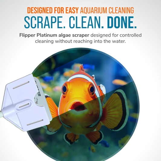 Flipper algae scraper handheld for glass and acrylic aquariums by Flipper Aquarium Products on Tampa Home & Garden Store