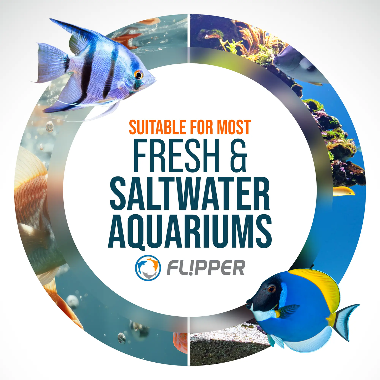 Hand held Flipper algae scraper for glass and acrylic by Flipper Aquarium Products on Tampa Home & Garden Store