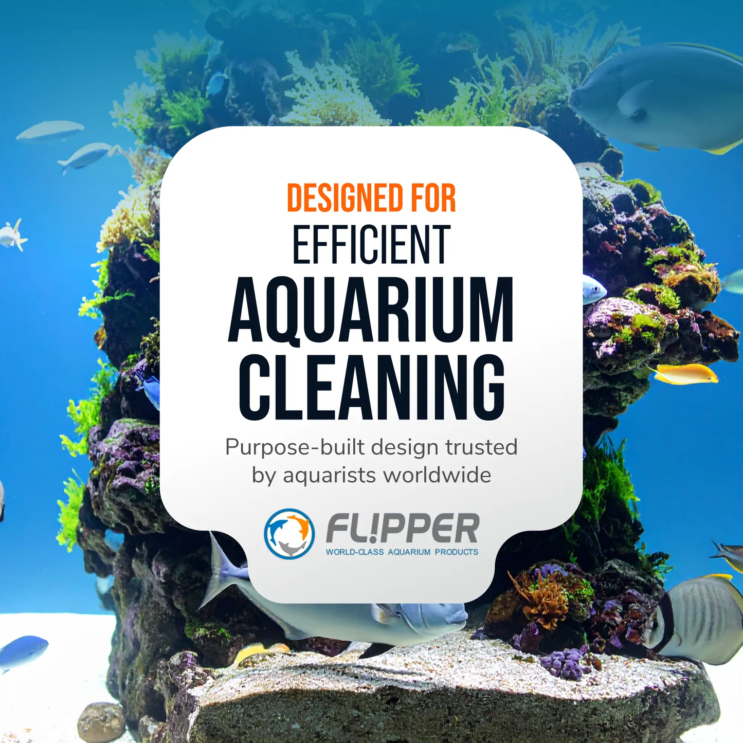 Flipper Platinum Aquarium Algae Scraper 10 Inch handheld scraper on reef backdrop on Tampa Home & Garden Store