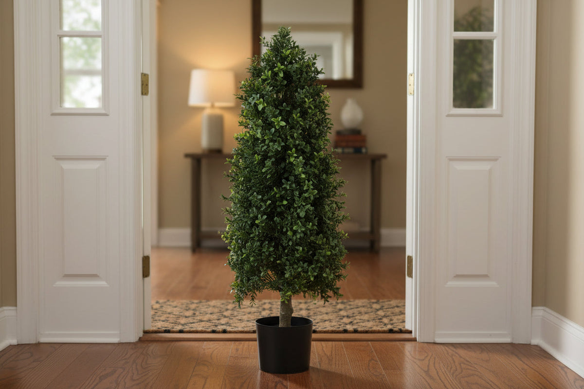 Cone Shape Boxwood Topiary 36 in tall in black pot by Thenestedfig with lush green foliage on Tampa Home & Garden Store
