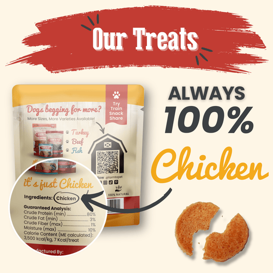 Chicken Chips Snack Pack dog treats by Farm To Pet in a yellow pouch with ingredients panel on Tampa Home & Garden Store