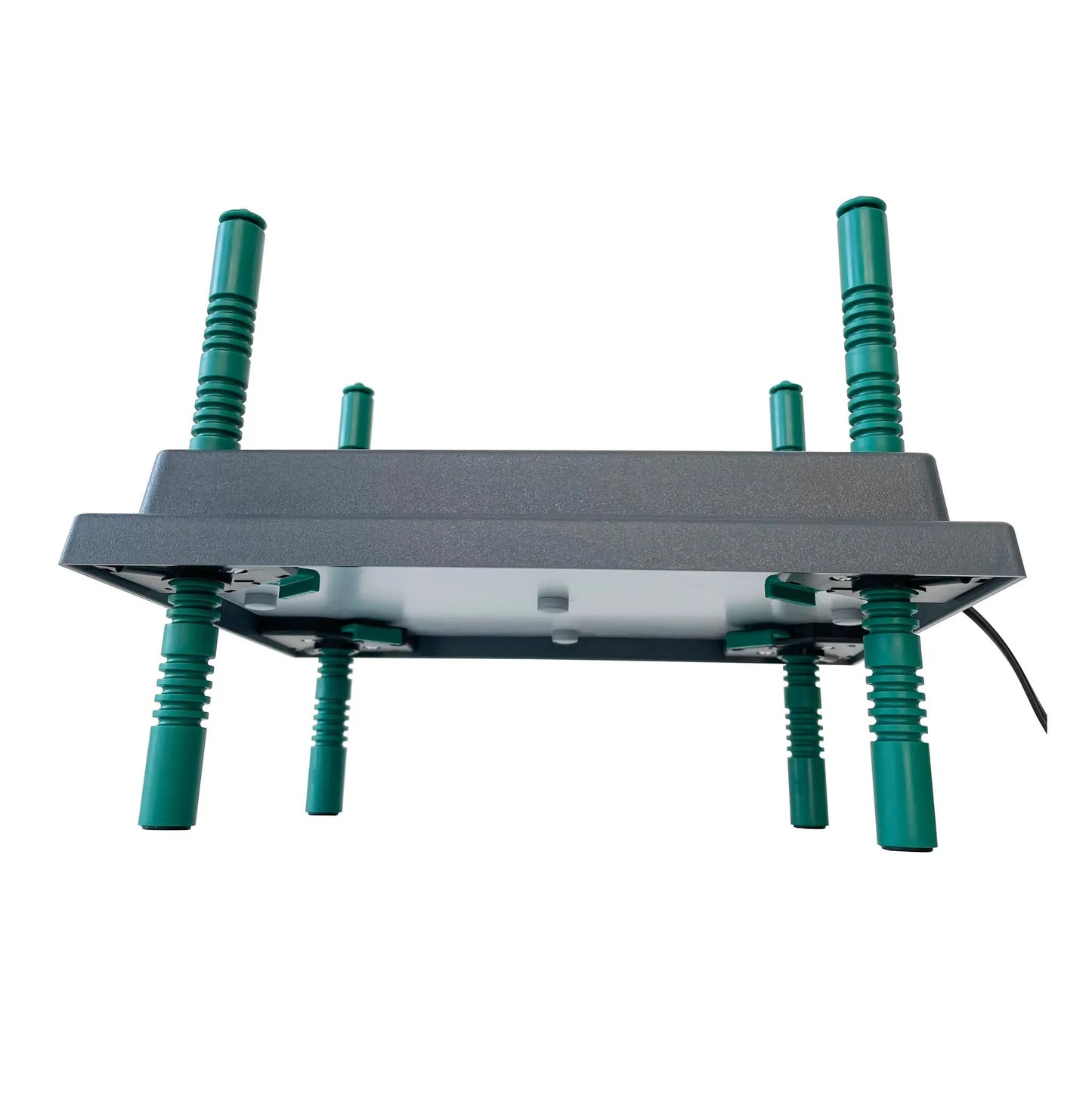 Farmight Chick Brooder Heater Plate adjustable with green support posts on Tampa Home & Garden Store