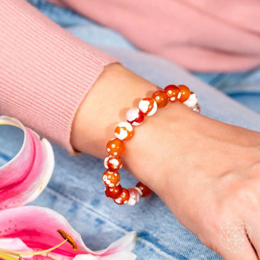 Feminine Force Carnelian Orca Agate Bracelet orange-red beads Conscious Items on Tampa Home & Garden Store