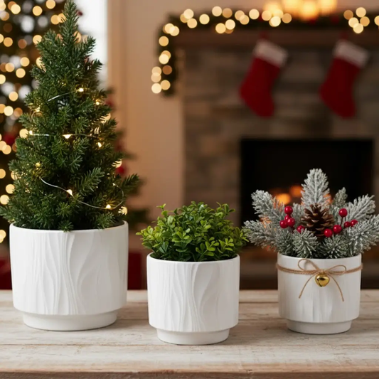 Three white stoneware planters with embossed texture and greenery display on Tampa Home & Garden Store