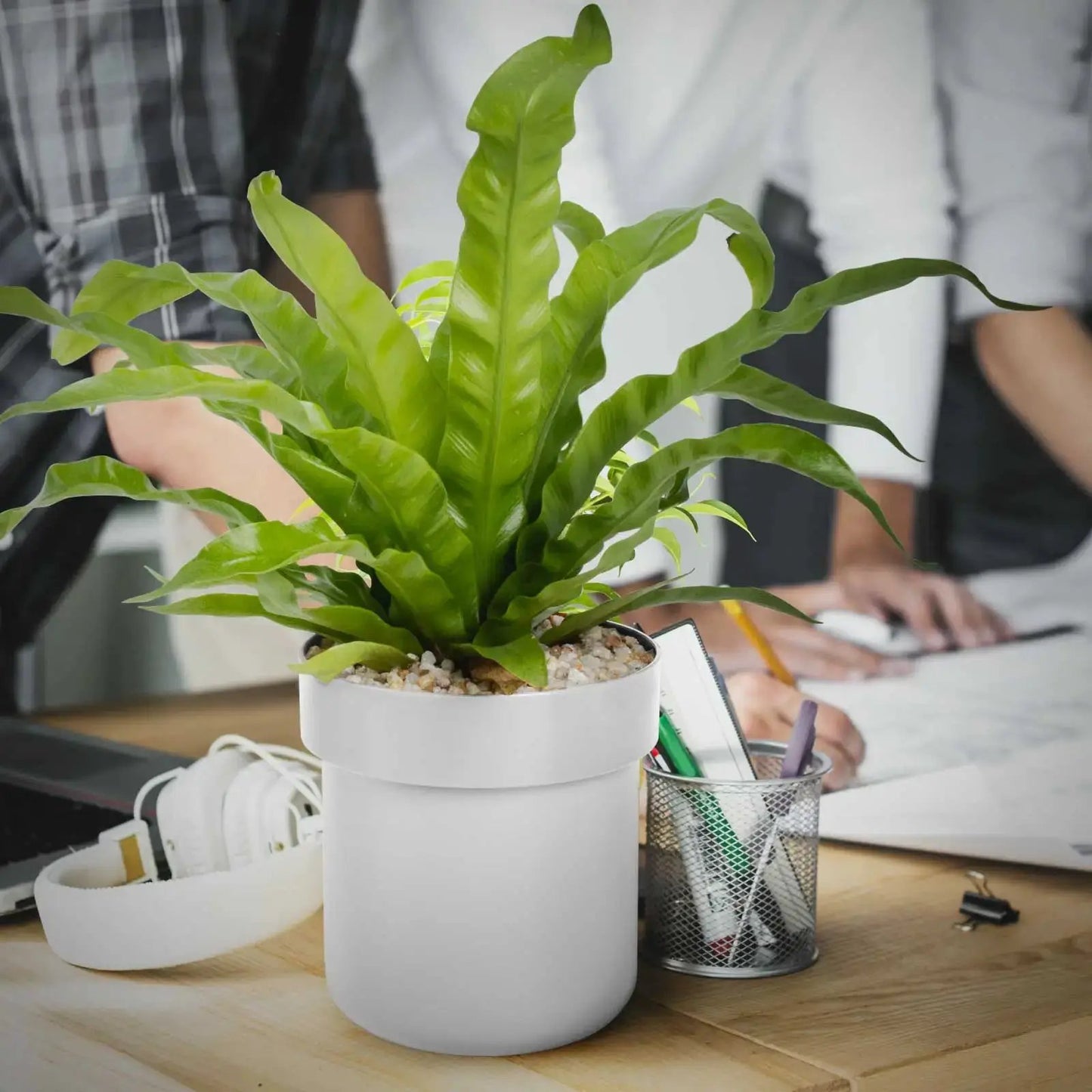 Flower Pot Hidden Safe With Lockable Compartment white ceramic pot with green plant on desk on Tampa Home & Garden Store