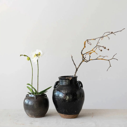 Two black clay vases with handles; small round vase with orchid, tall glossy jar with branch on Tampa Home & Garden Store