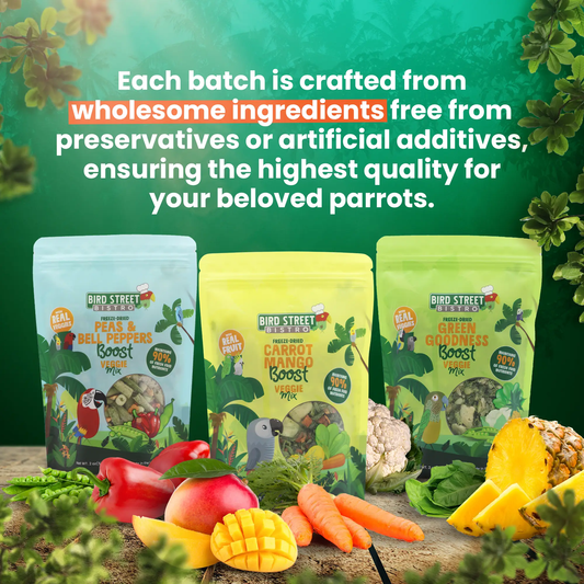 Freeze-Dried Veggie and Parrot Treats Tripack by Bird Street Bistro; 3 bags assorted colors on Tampa Home & Garden Store