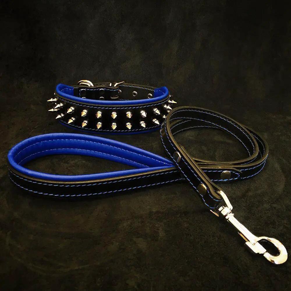 Bestia Dog Gear Frenchie 2-piece blue leather collar and leash set with silver spikes on Tampa Home & Garden Store