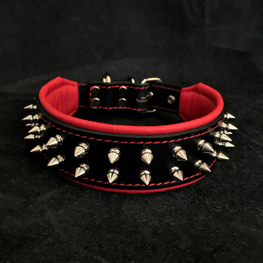 Bestia Frenchie Collar for small dogs with cushioned black leather and red trim spikes on Tampa Home & Garden Store