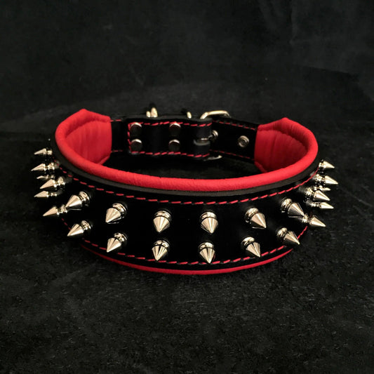 "Frenchie" collar - Tampa Home & Garden Store
