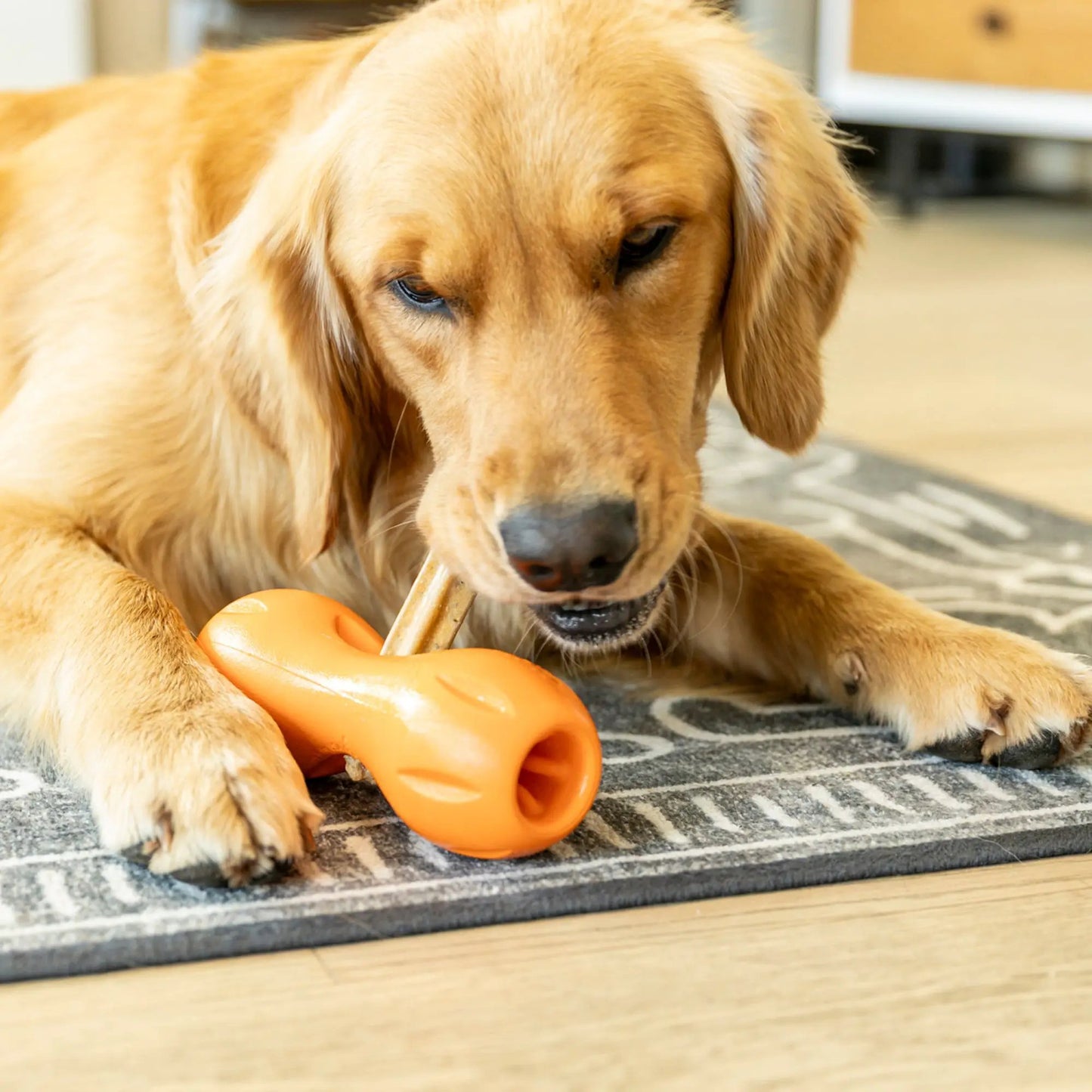 Natural Dental Sticks for Large Dogs with Mint, orange chew bone toy on Tampa Home & Garden Store