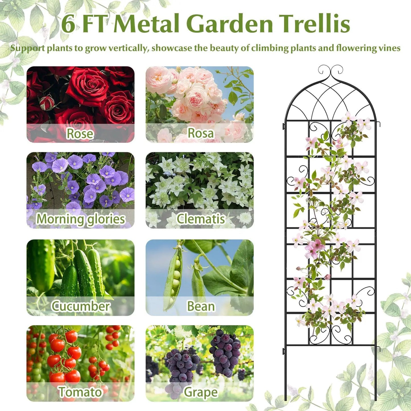 4-Pack Metal Garden Trellises for Climbing Plants, 71x20 in steel frame, DirectDeals on Tampa Home & Garden Store