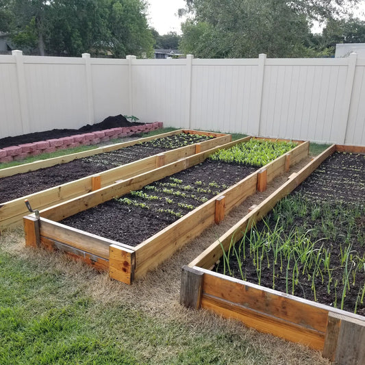 Garden soil installation service up to 3 yards in raised beds with seedlings in backyard on Tampa Home & Garden Store