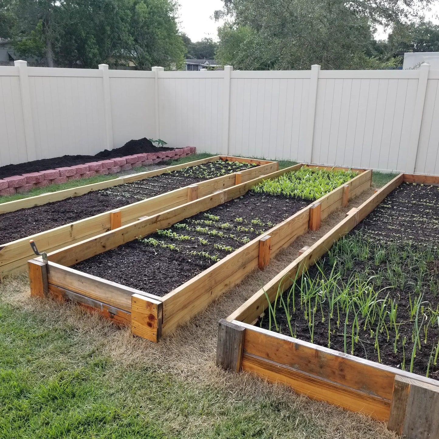 Garden soil installation service up to 3 yards in raised beds with seedlings in backyard on Tampa Home & Garden Store