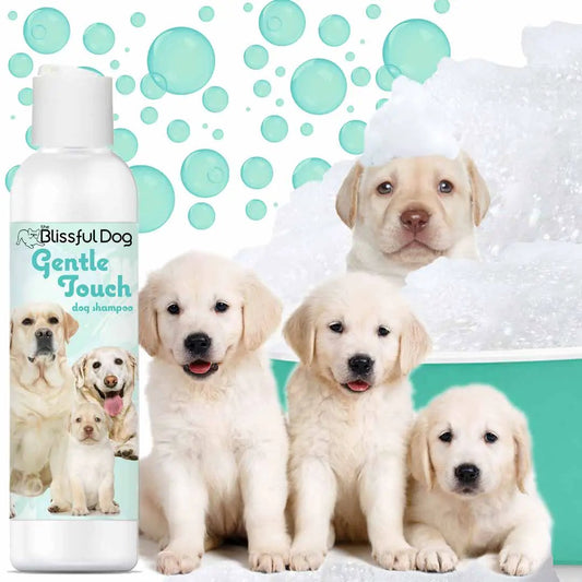 Gentle Touch dog shampoo by The Blissful Dog beside golden retriever puppies in bubbly bath on Tampa Home & Garden Store