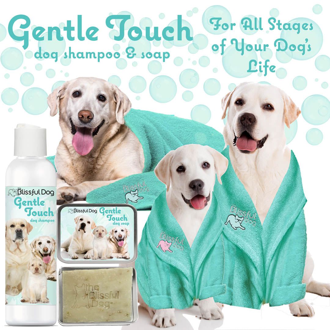 Gentle Touch Dog Shampoo & Soap - Tampa Home & Garden Store