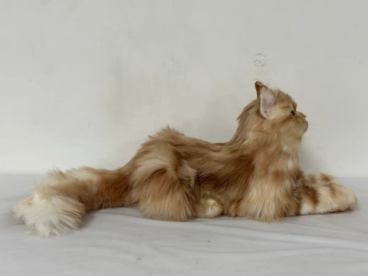 Ginger cat plush weighted life-size companion by Chongker, long-haired stuffed animal on Tampa Home & Garden Store
