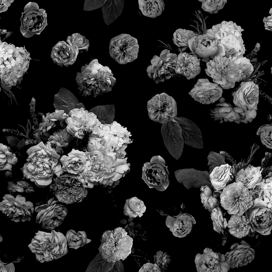 Rose Farm wallpaper black and white floral pattern with scattered roses on black background on Tampa Home & Garden Store