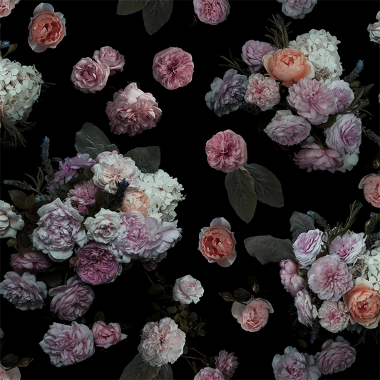 Rose Farm Wallpaper Black and Pastel pink rose pattern on black background on Tampa Home & Garden Store