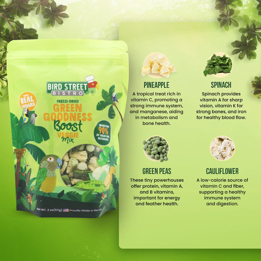 Green Goodness Boost parrot veggies mix Bird Street Bistro bright green bag on Tampa Home & Garden Store