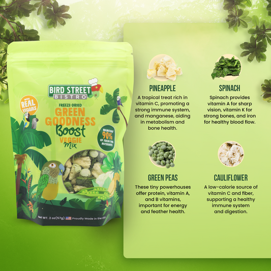 Green Goodness Boost - Parrot Veggies Mix - Tampa Home & Garden Store